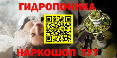 крисы Конаково